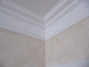 IMG 3951
